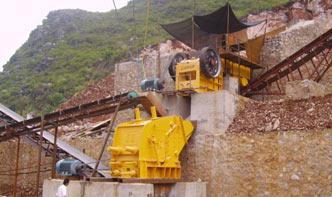 what is minerales processing plant